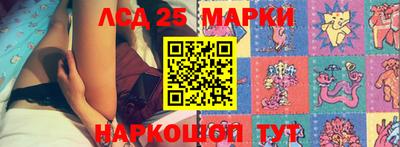 спиды Краснознаменск