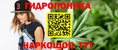 спиды Краснознаменск