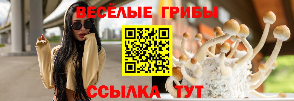 что такое наркотик  Вход с VPN  Ялуторовск  Галлюциногенные грибы MAGIC MUSHROOMS  Галлюциногенные грибы Cubensis 